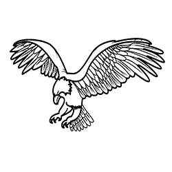 Democratic United National Front