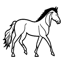 National Congress